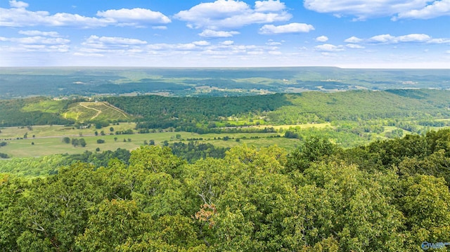 bird's eye view