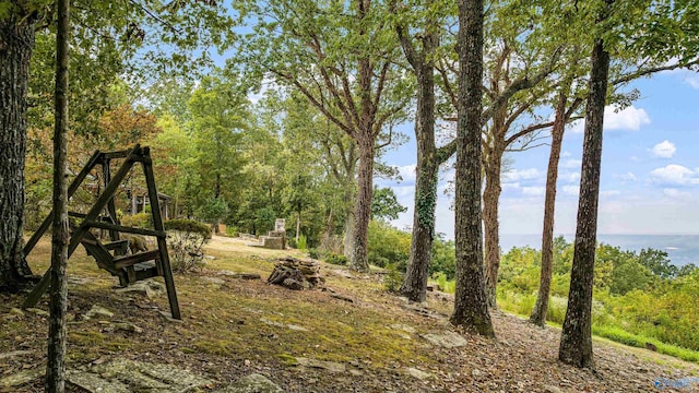 view of local wilderness