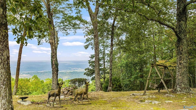 view of local wilderness