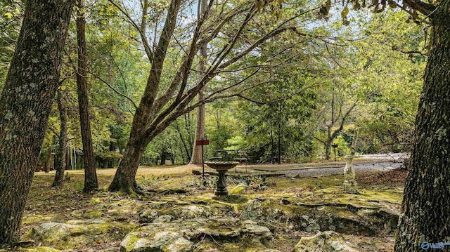 view of landscape