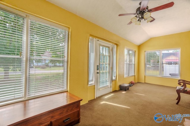 doorway to outside featuring plenty of natural light, ceiling fan, and vaulted ceiling