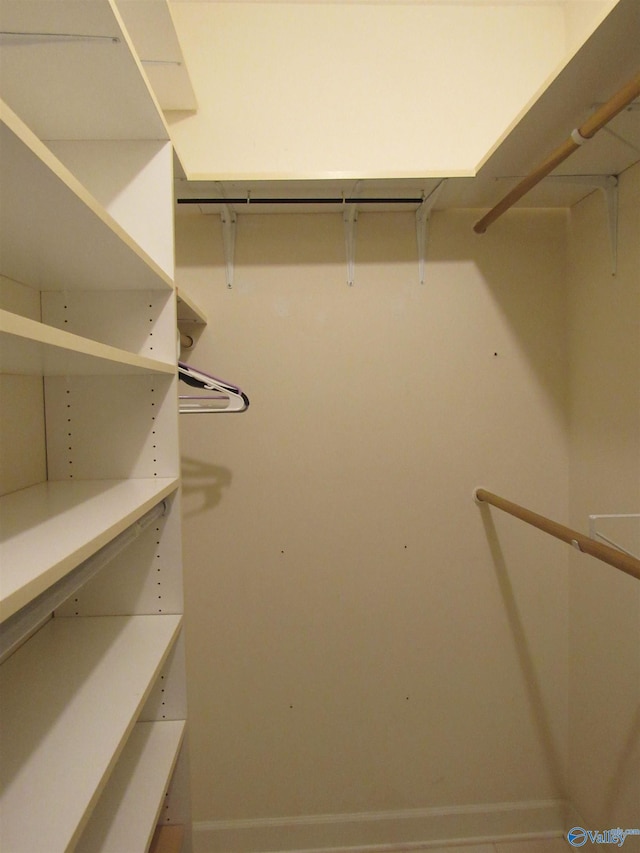 view of spacious closet