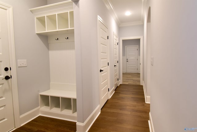 mudroom featuring dark hardwood / wood-style floors and ornamental molding