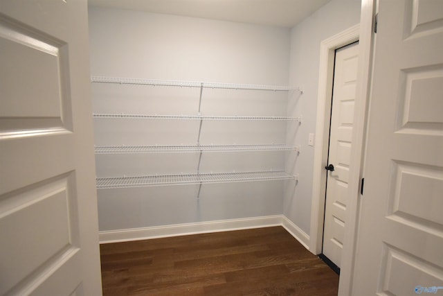 walk in closet featuring dark wood-type flooring