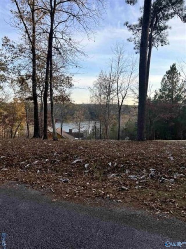 LOT6 Whippoorwill Dr, Double Springs, AL 35553