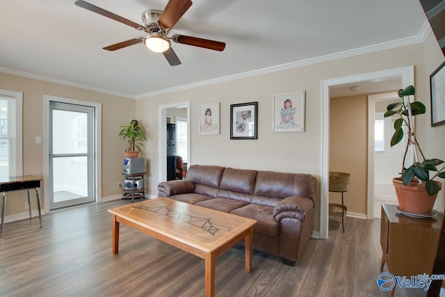 living room featuring ceiling fan, ornamental molding, and dark hardwood / wood-style floors