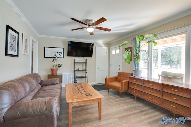 living room with crown molding, ceiling fan, and light hardwood / wood-style flooring