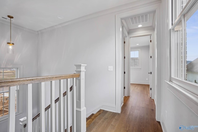 hallway featuring wood-type flooring