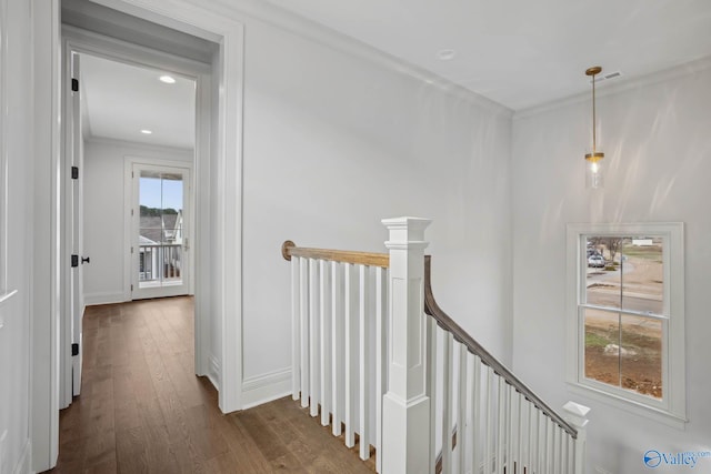 hall with ornamental molding and dark hardwood / wood-style floors