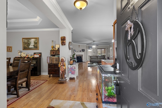 foyer with a fireplace, a ceiling fan, light wood-style floors, washer / dryer, and crown molding