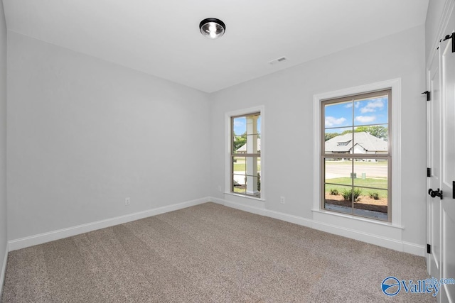 empty room featuring plenty of natural light and carpet flooring