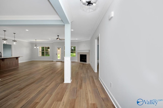 unfurnished living room with ceiling fan, ornamental molding, sink, and light wood-type flooring