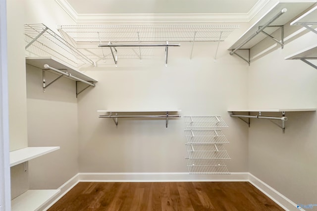 spacious closet featuring dark wood-type flooring