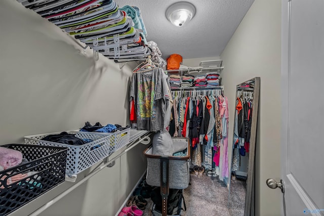 view of walk in closet