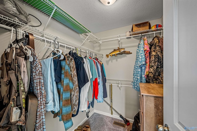 spacious closet featuring carpet