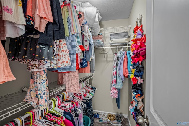 view of spacious closet
