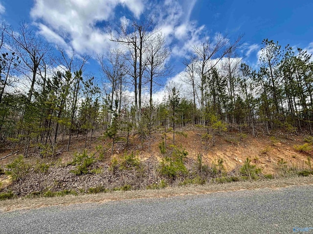 2.92 County Road 368, Centre, AL 35960
