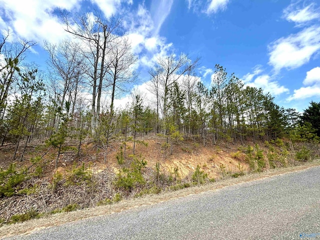 2.92 County Road 368, Centre, AL 35960