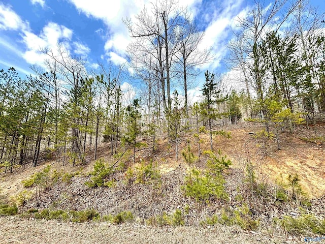 2.92 County Road 368, Centre, AL 35960