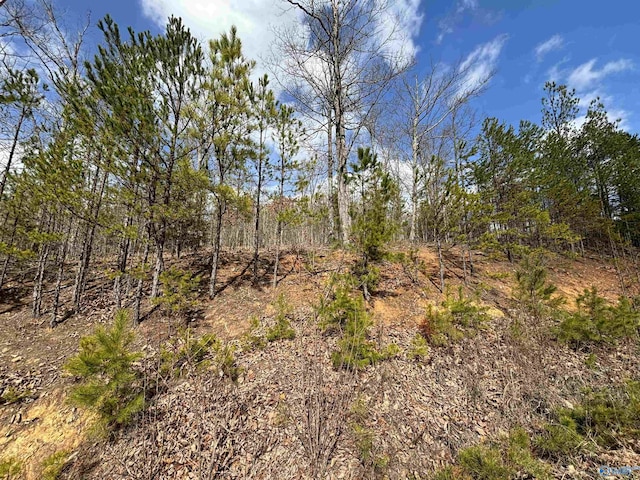 2.92 County Road 368, Centre, AL 35960