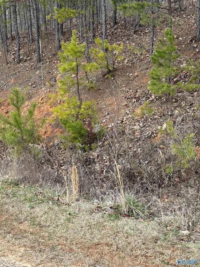 2.92 County Road 368, Centre, AL 35960