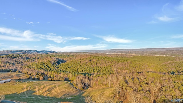 Listing photo 3 for 160ACRES Chisenhall Rd, Fort Payne AL 35967