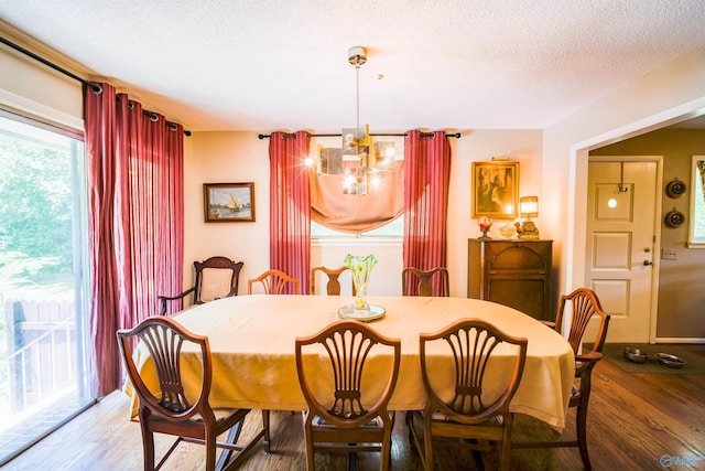 dining room featuring a textured ceiling and hardwood / wood-style flooring