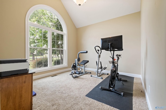 workout room with a wealth of natural light, lofted ceiling, and carpet