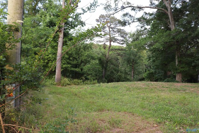 312 Cliff Rd, Cullman AL, 35057 land for sale