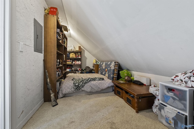 carpeted bedroom with electric panel