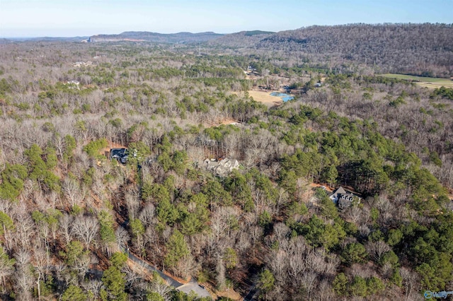 drone / aerial view with a mountain view