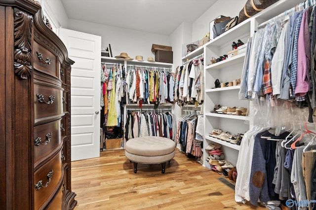 22424 Cantera Dr, Athens, AL 35613 - walk in closet featuring light wood finished floors