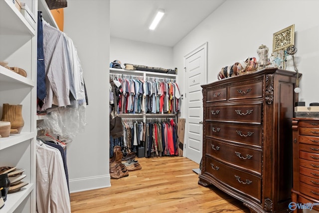 22424 Cantera Dr, Athens, AL 35613 - spacious closet featuring light wood-style floors