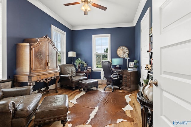 22424 Cantera Dr, Athens, AL 35613 - office area with a ceiling fan, wood finished floors, and ornamental molding