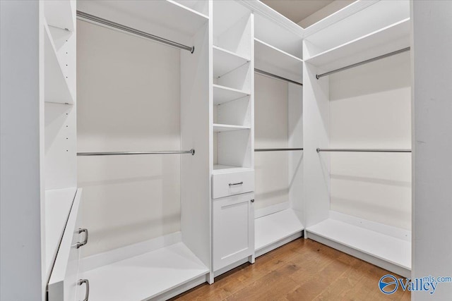 108 Napolean Ave, Madison, AL 35758 - walk in closet featuring wood finished floors