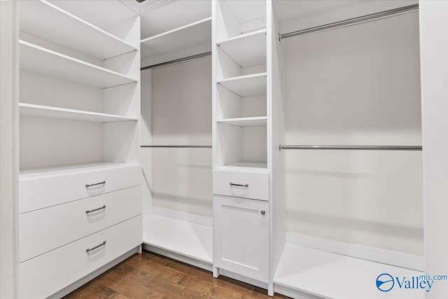 108 Napolean Ave, Madison, AL 35758 - walk in closet with dark wood-style floors