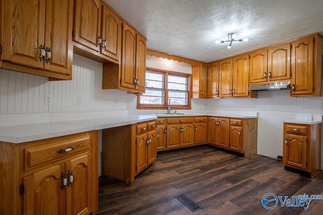 kitchen with sink, a textured ceiling, and dark wood-type flooring