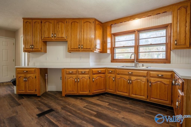 kitchen with a textured ceiling, sink, and dark hardwood / wood-style floors