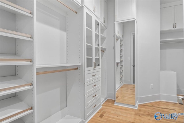 spacious closet with light wood-type flooring