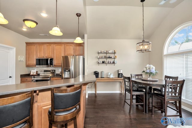 kitchen featuring dark wood-style flooring, baseboards, vaulted ceiling, appliances with stainless steel finishes, and decorative light fixtures