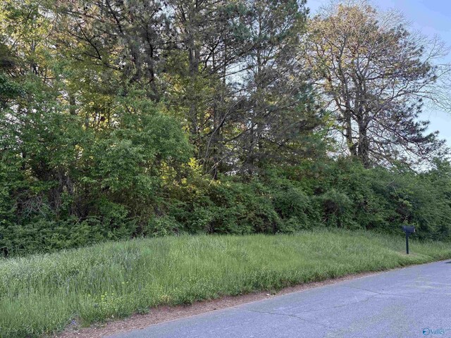 0.86ACRES Brandon Town Rd NW, Huntsville, AL 35816