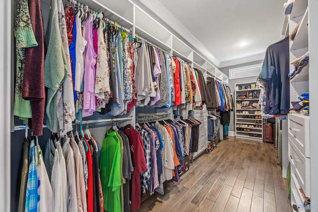 14 Blue Meadow Way, Gurley, AL 35748 - walk in closet with wood finished floors