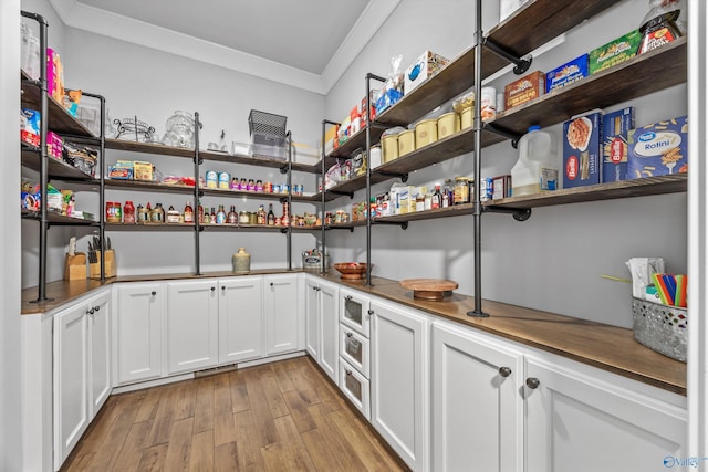 14 Blue Meadow Way, Gurley, AL 35748 - view of pantry