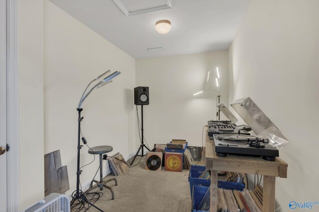 miscellaneous room featuring carpet flooring