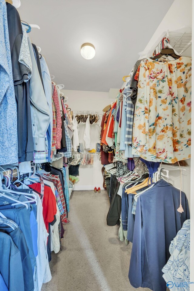 spacious closet featuring carpet flooring