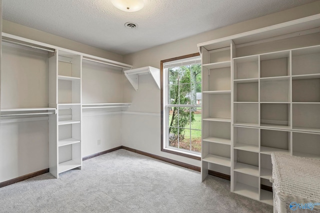 702 Royce Cir SE, Huntsville, AL 35803 - spacious closet with carpet flooring