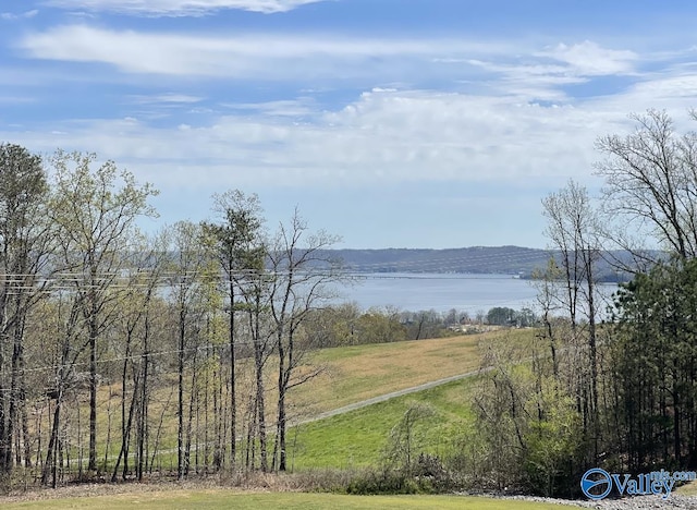 42 Legendary Dr, Guntersville AL, 35976 land for sale