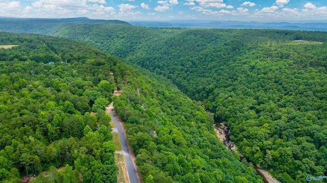 birds eye view of property featuring a mountain view