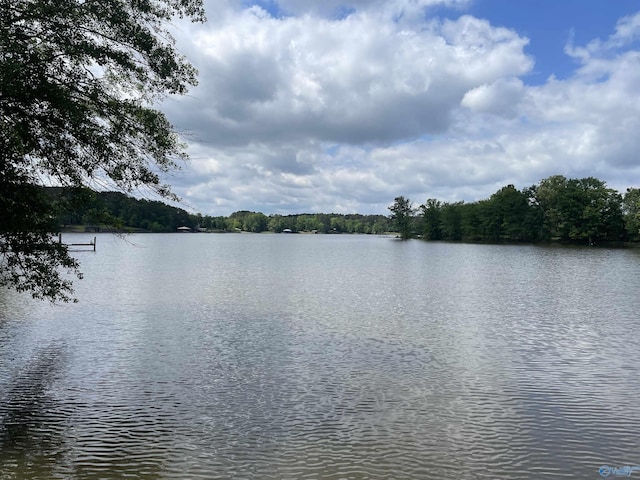 12789 County Road 31, Centre, AL 35042