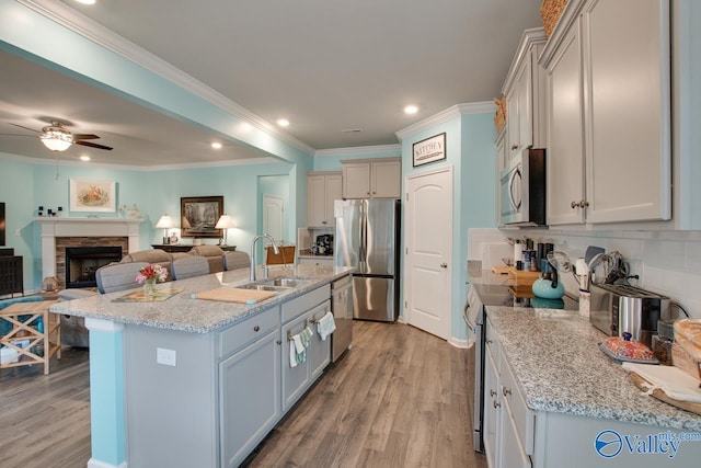 kitchen featuring light wood finished floors, open floor plan, appliances with stainless steel finishes, a ceiling fan, and a sink